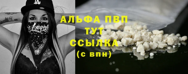 эйфоретик Беломорск