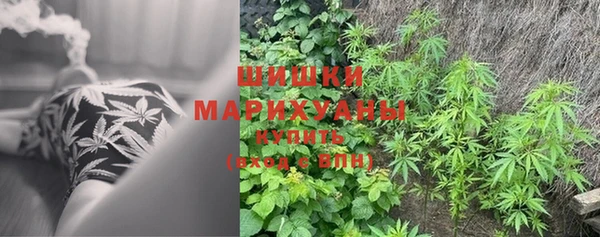 соль ск Дрезна