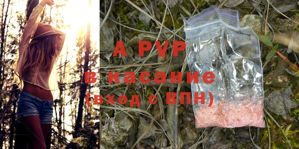 стаф Снежинск