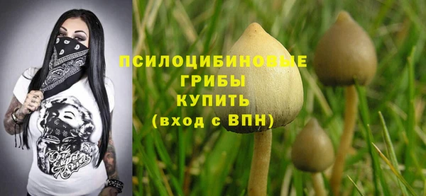 эйфоретик Беломорск