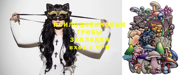 твердый Белоозёрский