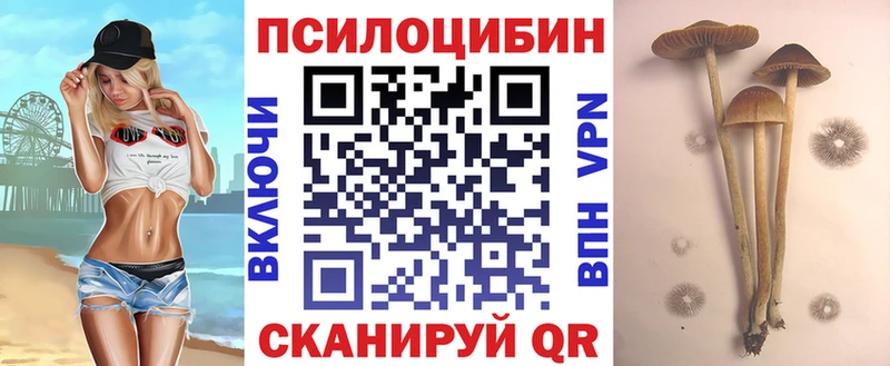 blacksprut зеркало  Озёрск  Галлюциногенные грибы мухоморы 
